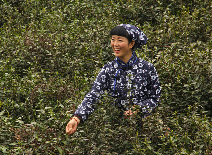 伊人app淫直播入口
